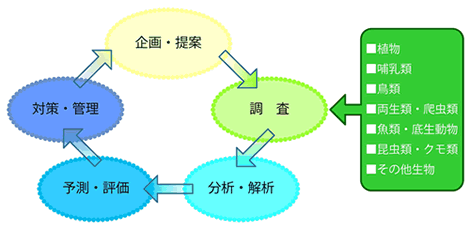 生物調査・自然環境調査イメージ