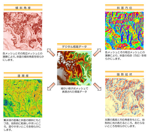 生物の生息に影響する地形因子の分析例