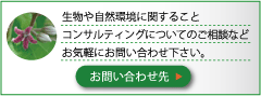 緑生研究所へのお問い合わせ